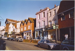 Houses in Surrey